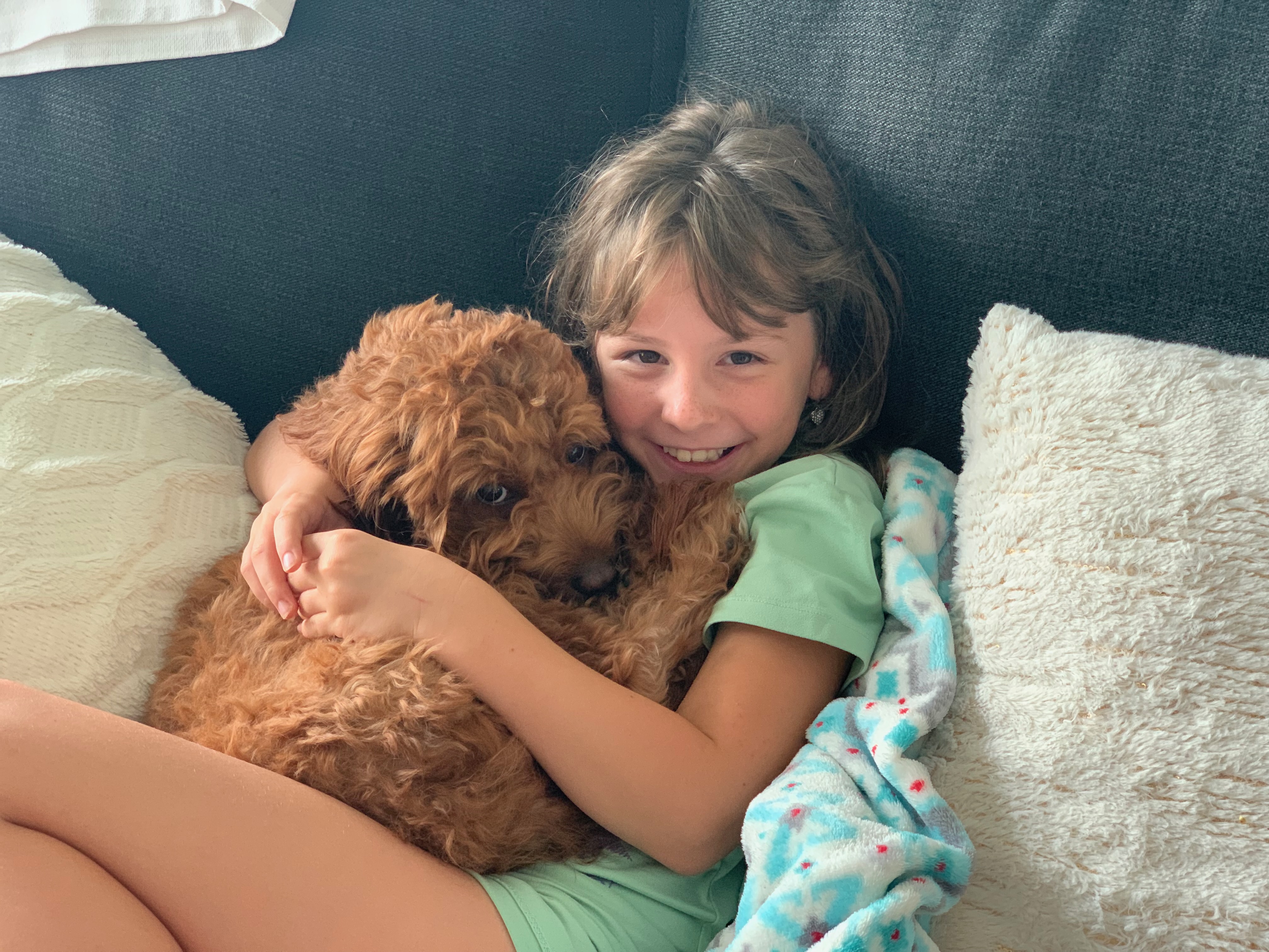 Lily cuddling with Haus Kat's curly-haired dog